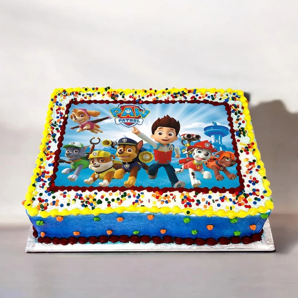 Paw Patrol Cake