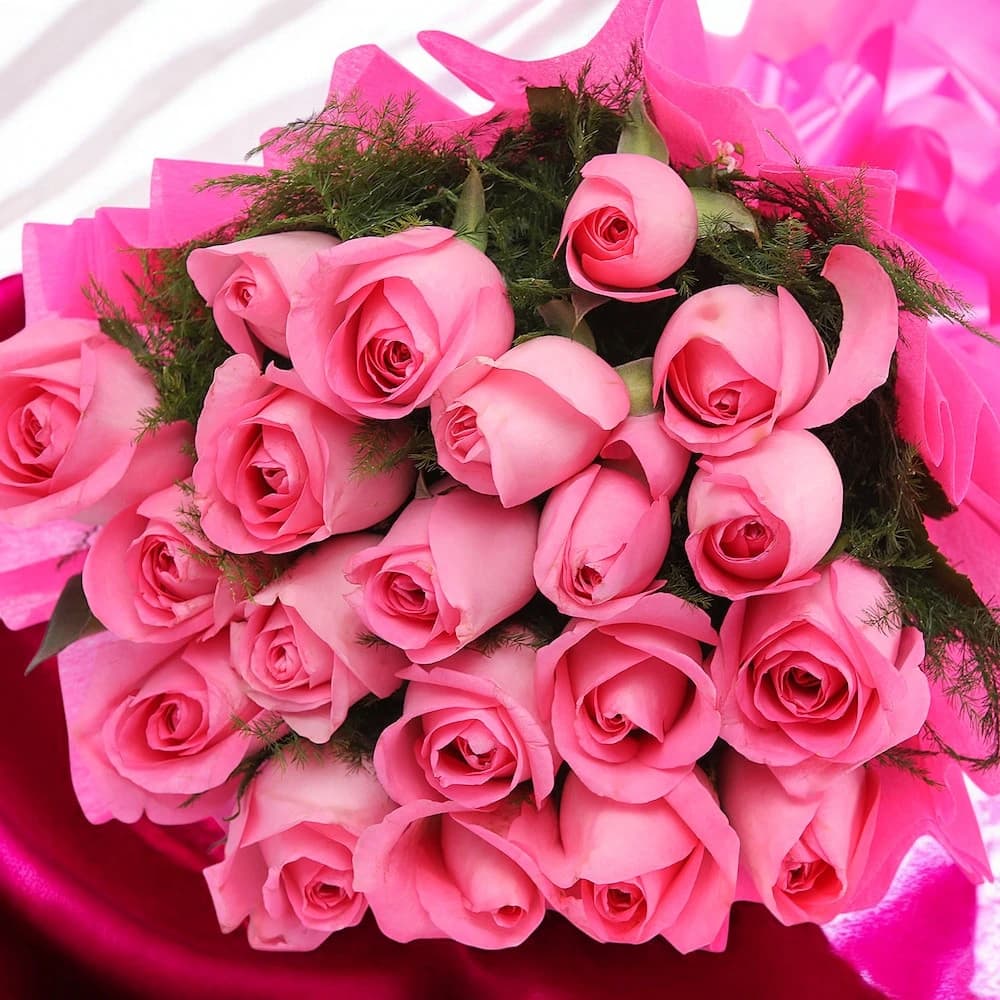 Lovely Pink Magic view 1