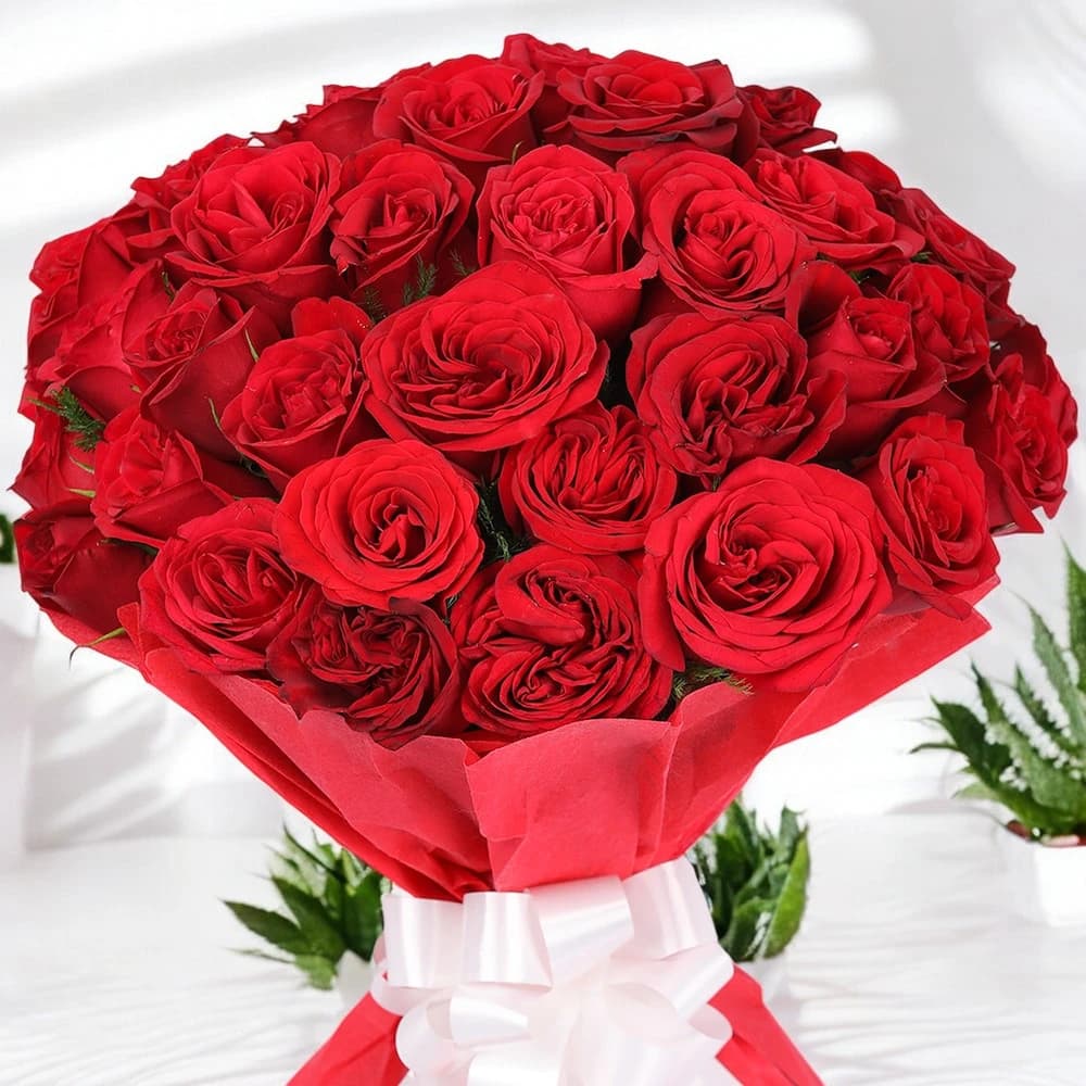 For Someone Special Red Roses in Red Packing