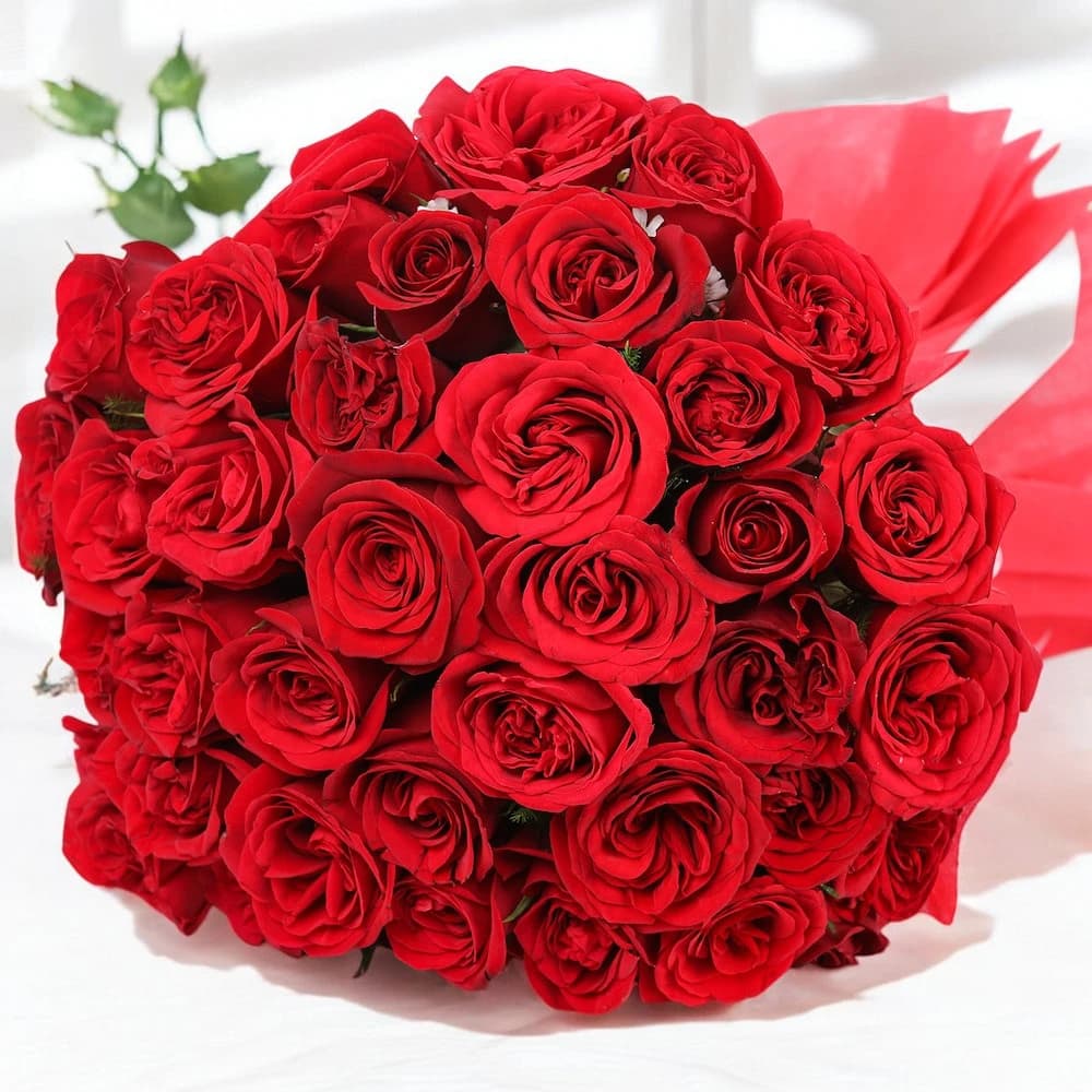 For Someone Special Red Roses in Red Packing view 1