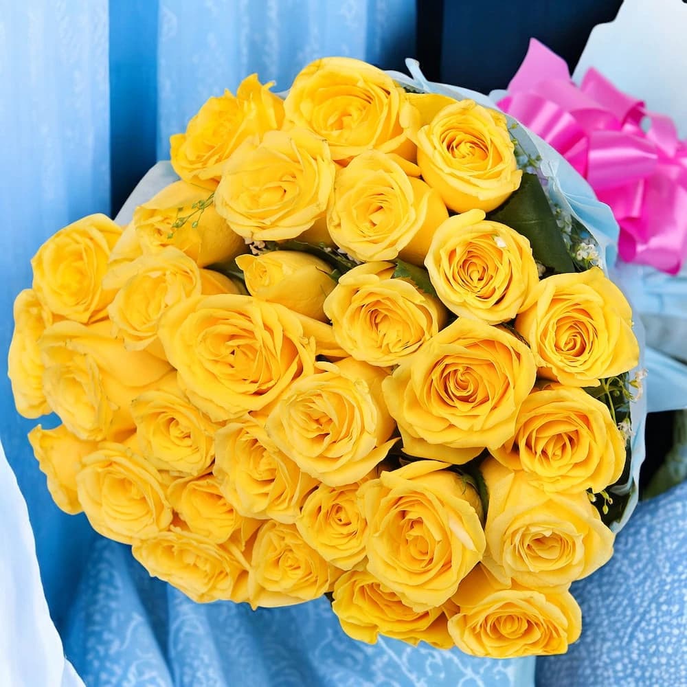 Elegant Sunny Yellow view 2