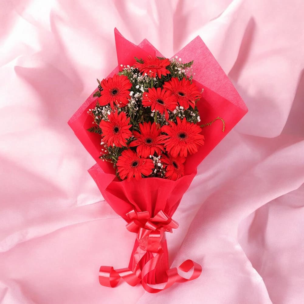 Red Elegance Gerbera Bunch