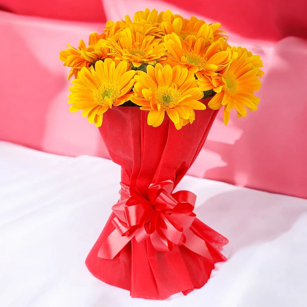 Happy Splashy Gerberas