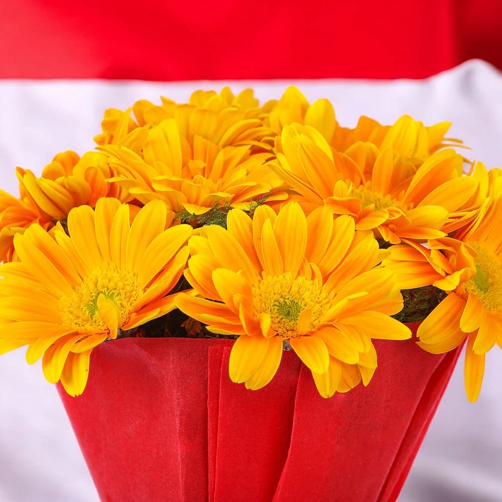 Happy Splashy Gerberas view 1