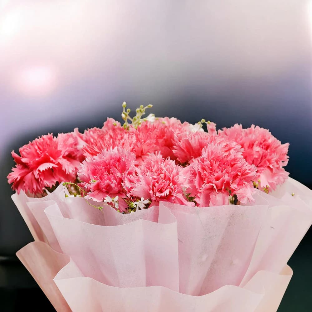 Pink Carnations In Pink Packing view 1
