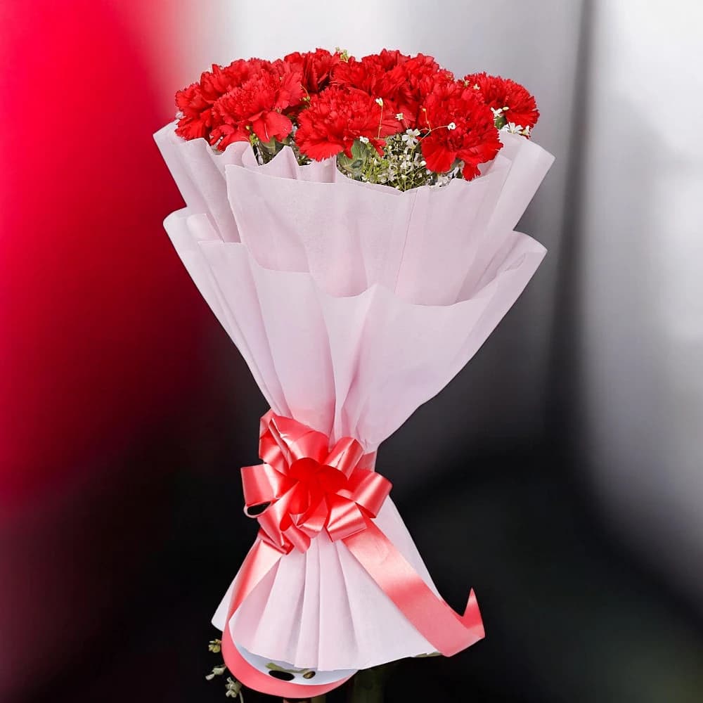12 Red Carnations