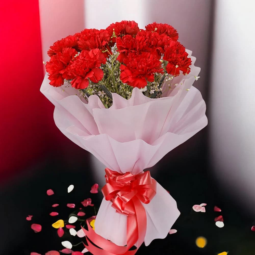 12 Red Carnations view 1