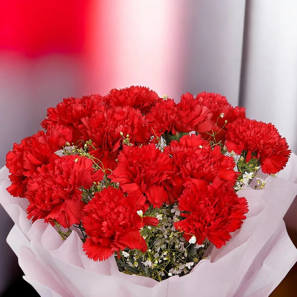 12 Red Carnations view 2