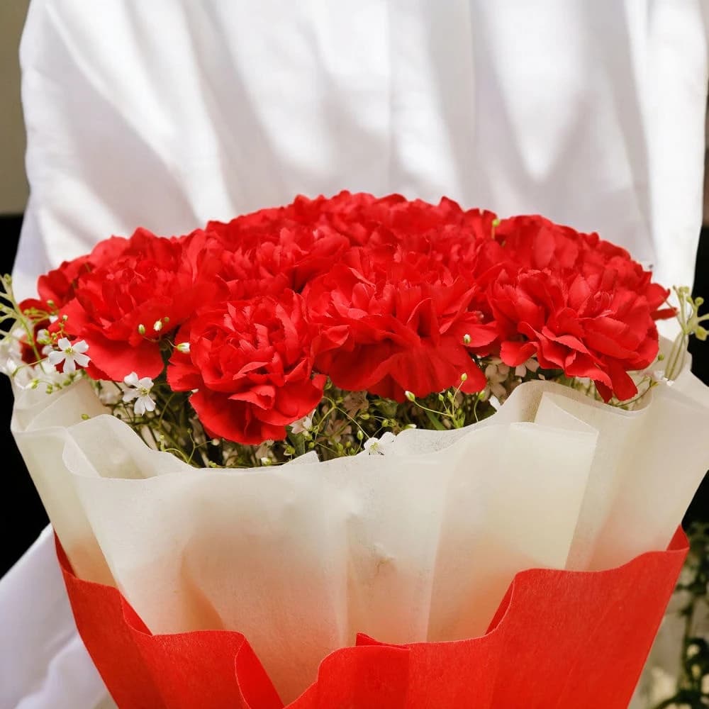 Carnation Abundance Bouquet view 1