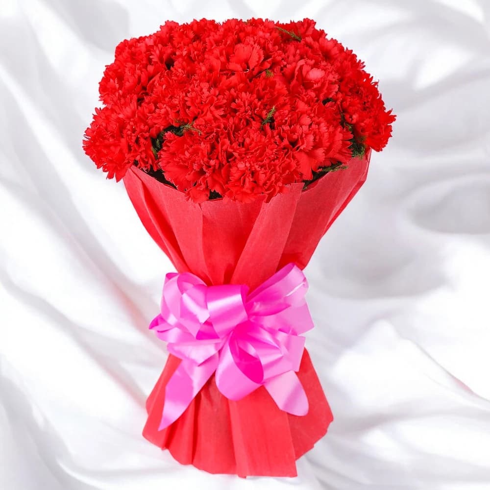 Carpet of Carnation