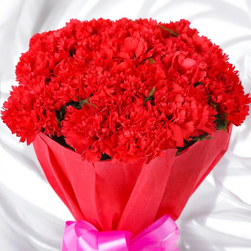 Carpet of Carnation view 1