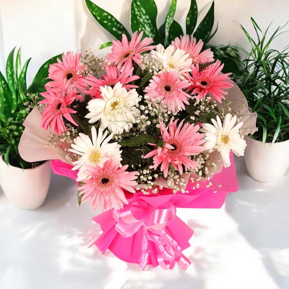 Blooming Pink Gerbera view 1