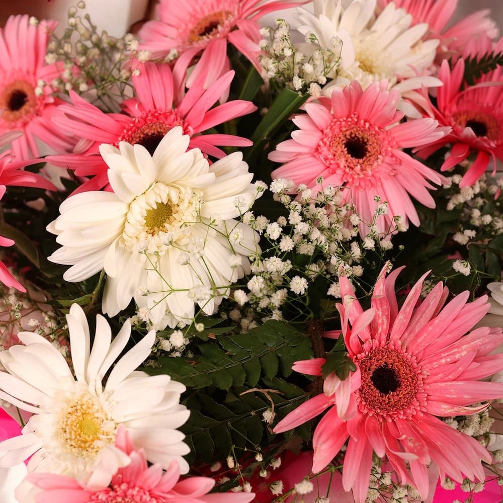 Blooming Pink Gerbera view 3