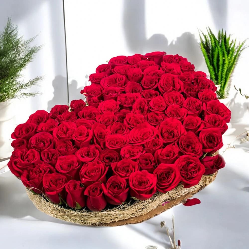 Precious Occasion view 1