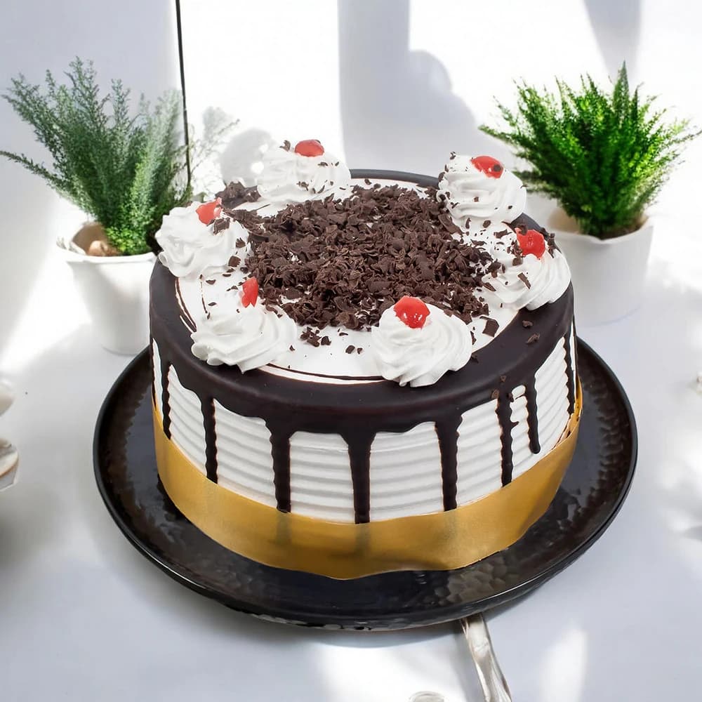 Precious Occasion view 2