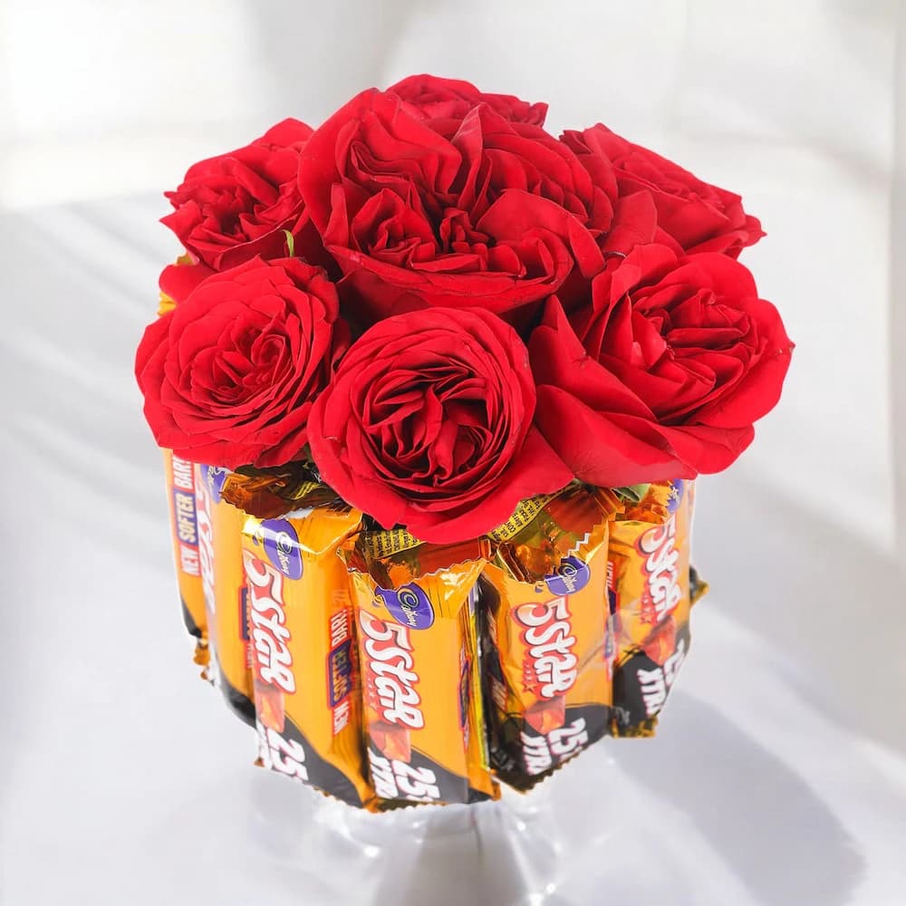 Genetic Red Star view 1