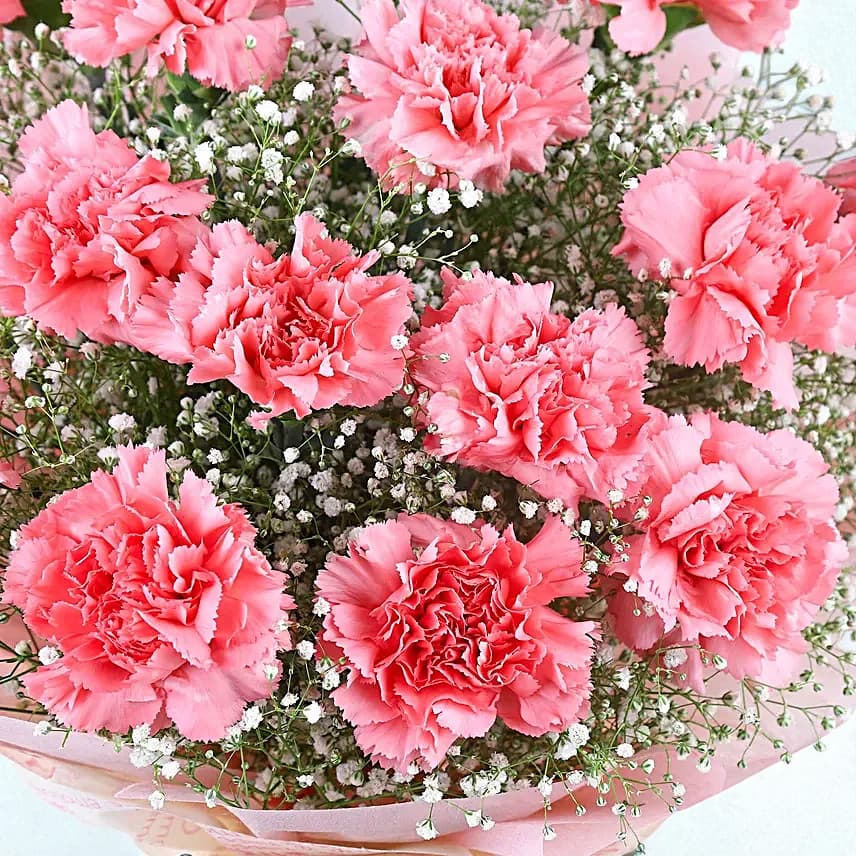 Love For Pastel Carnations Flower Bouquet view 1