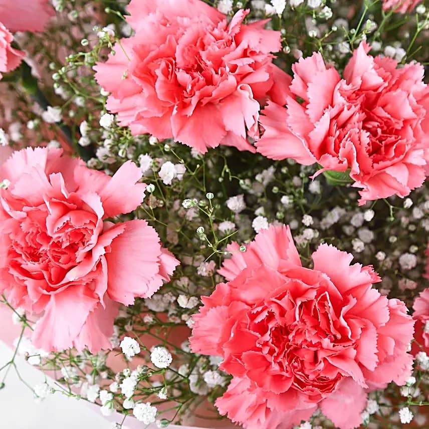 Love For Pastel Carnations Flower Bouquet view 2