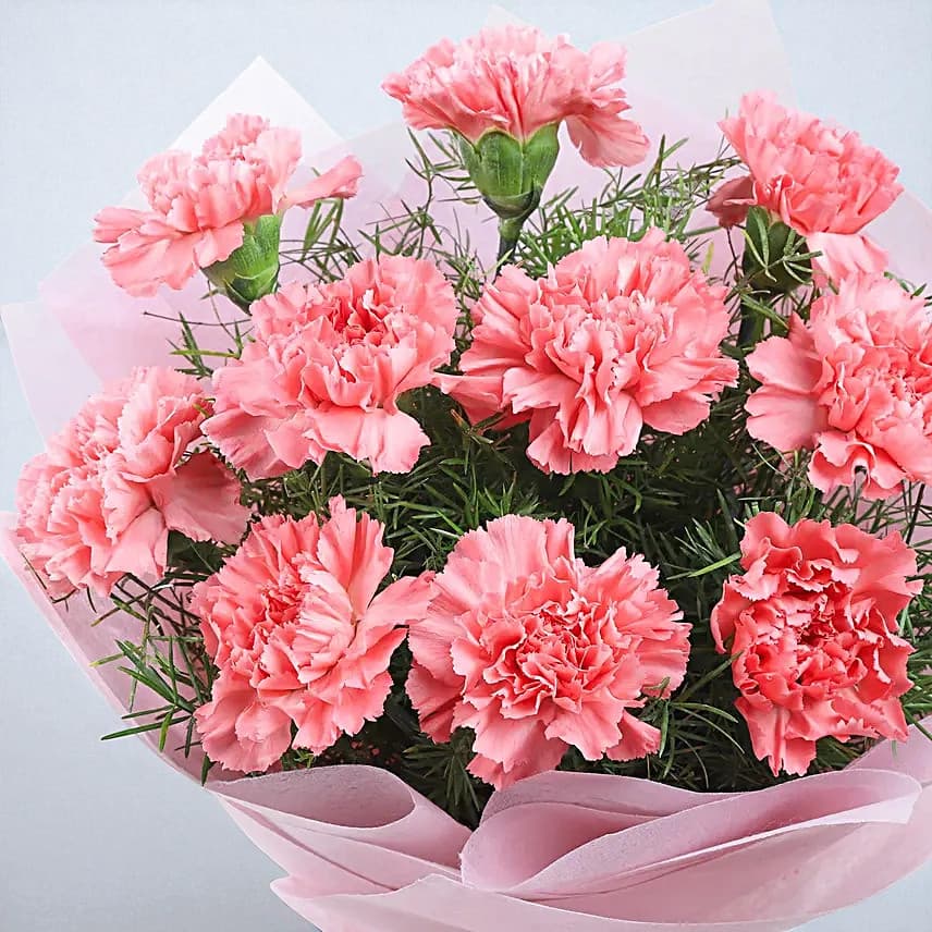 Pretty Pink Carnations Flower Bouquet view 1