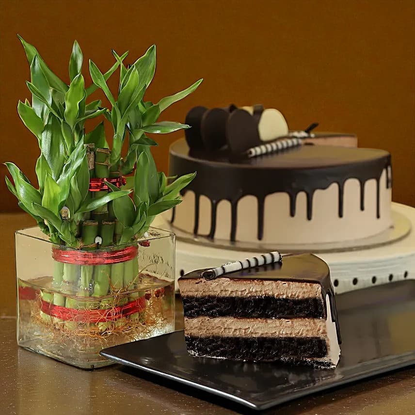 2 Layer Bamboo & Eggless Chocolate Cake view 1