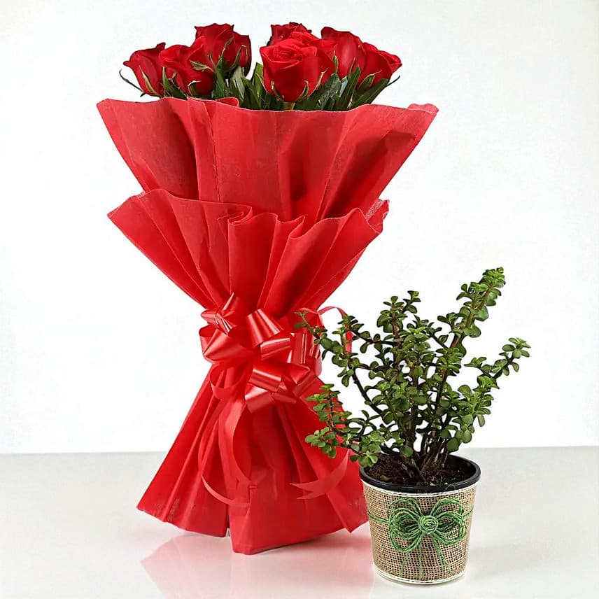 Jade Plant & Red Rose Bouquet view 2