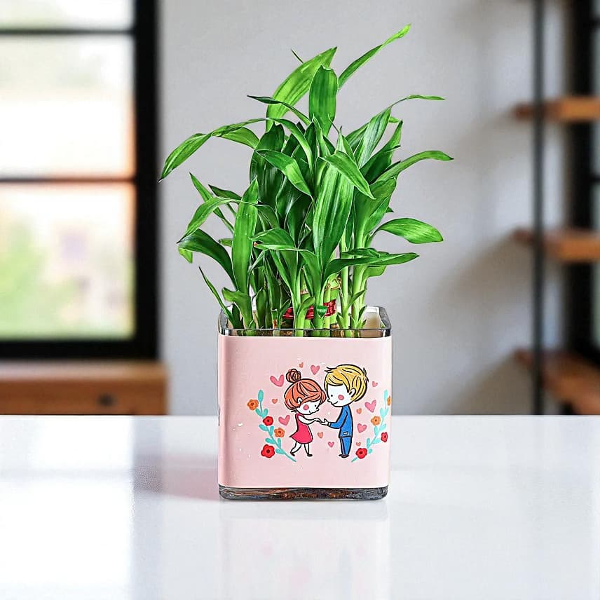 Two Layer Bamboo Plant Anniversary Greetings