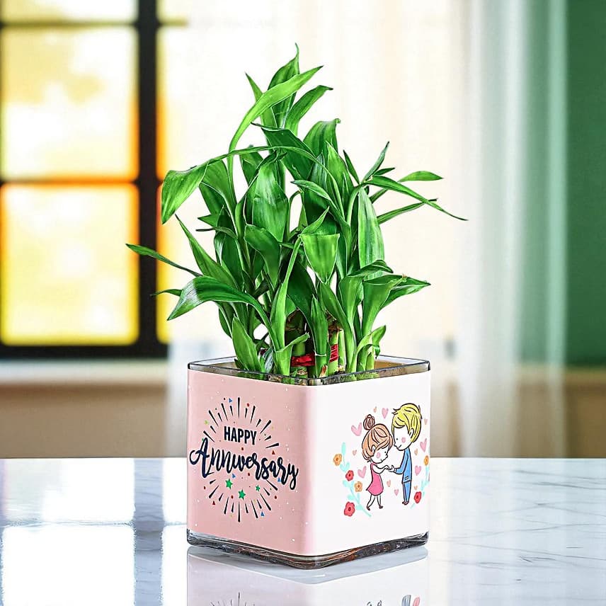 Two Layer Bamboo Plant Anniversary Greetings view 3