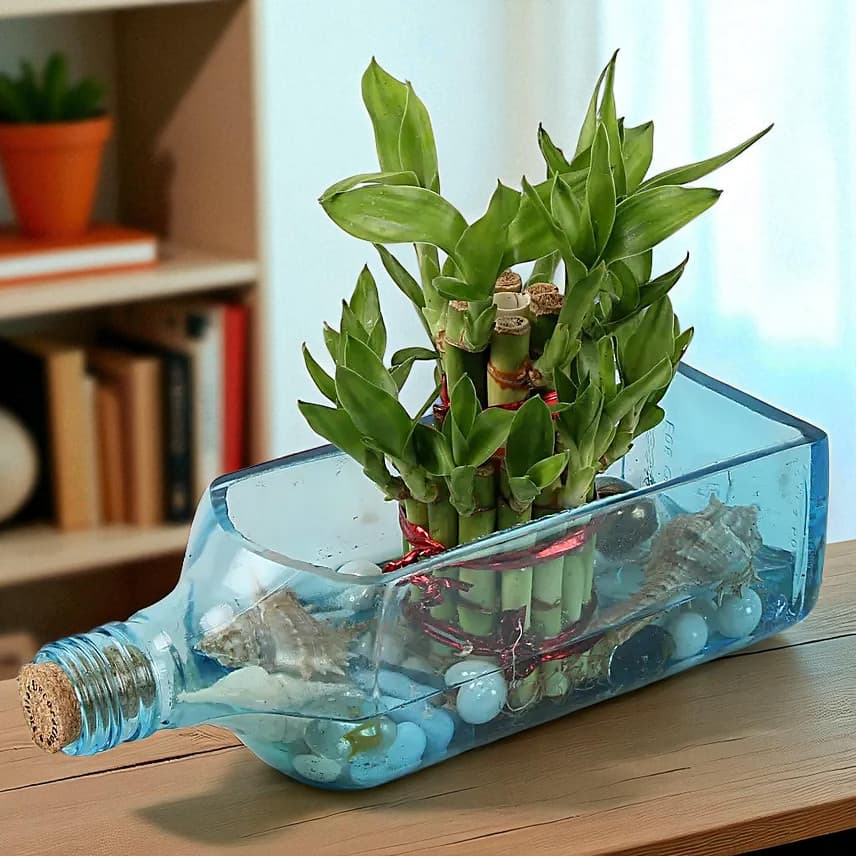 Lucky Bamboo Bombay Sapphire Bottle Planter view 2