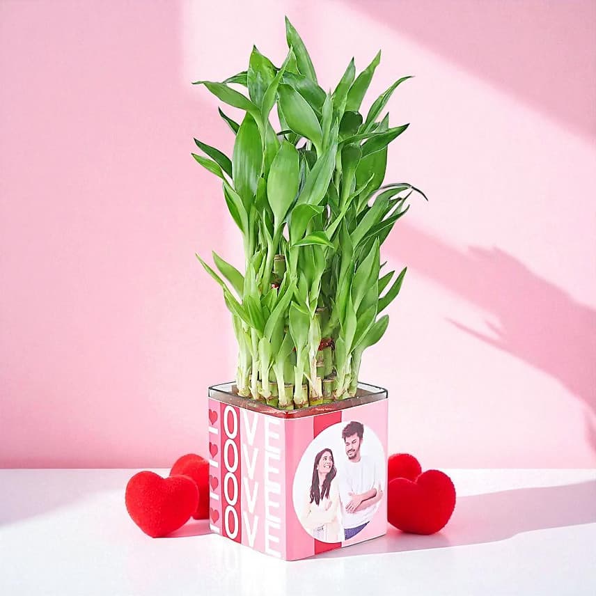 Bamboo Plant Whispers of Love