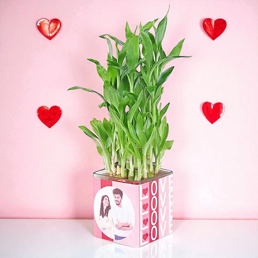 Bamboo Plant Whispers of Love view 1