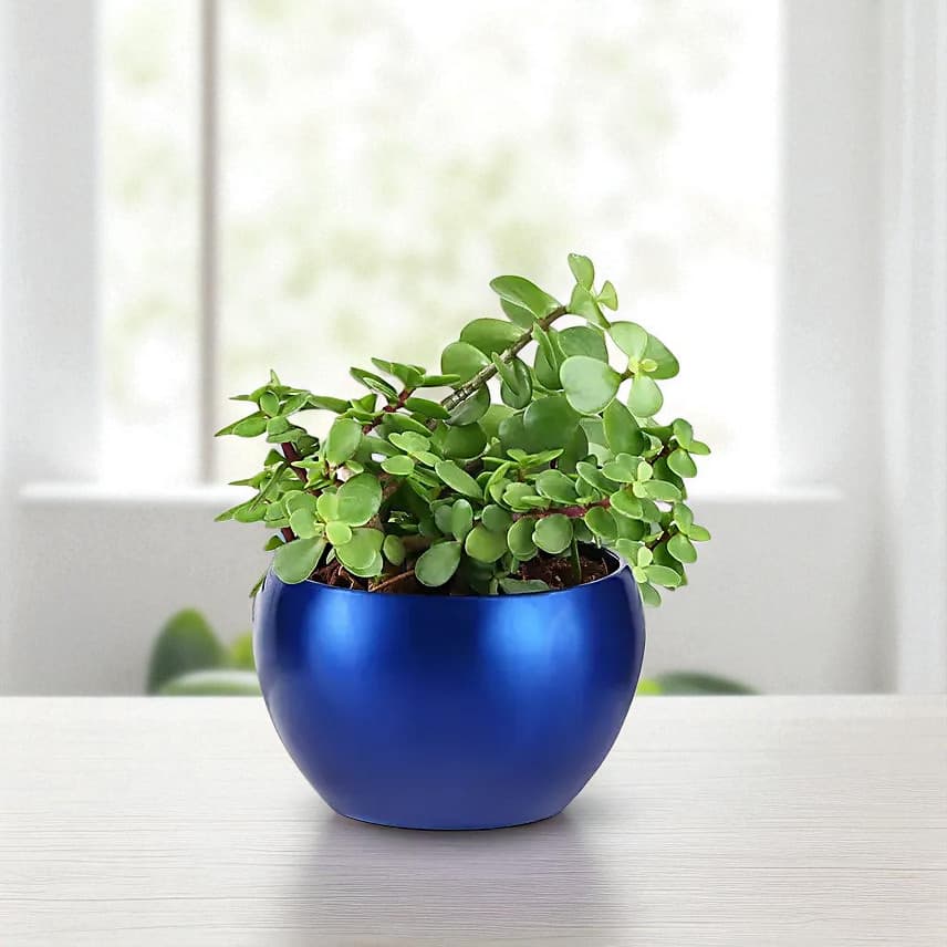 Jade Luck Charm view 1