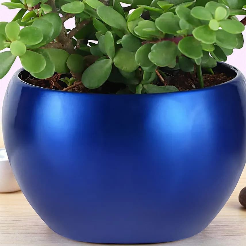 Jade Luck Charm view 2