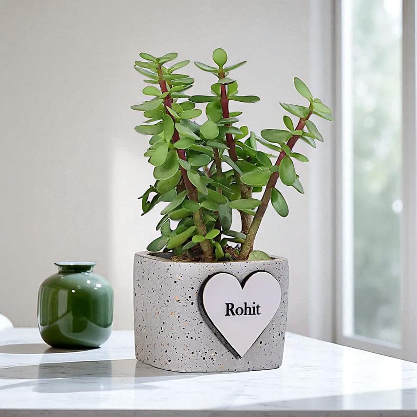 Jade Elegance view 2