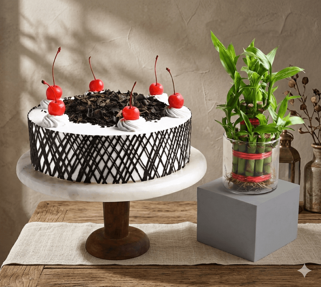 Black Forest Cake And Lucky Bamboo Plant