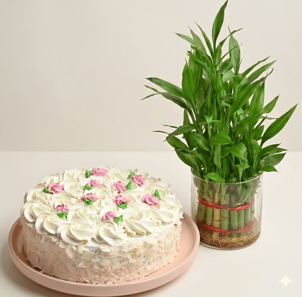 Elegant White Forest Cake N Lucky Bamboo Combo