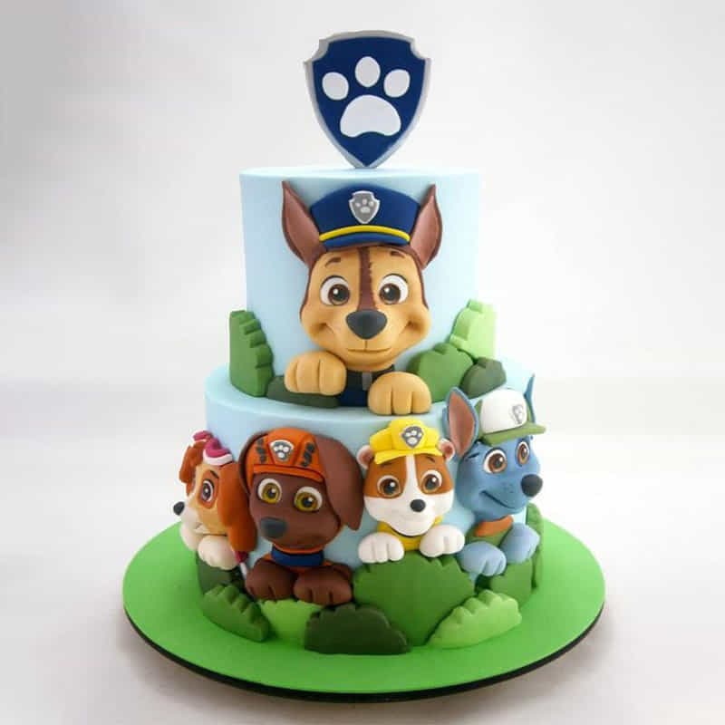 Paw Patrol 2 Tier Fondant Cake