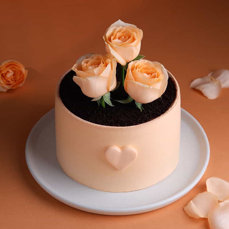Rose Topped Chocolate Cake