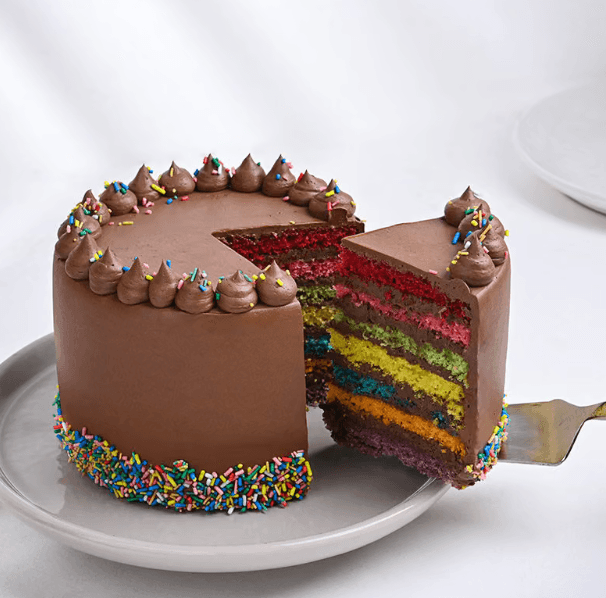 Sprinkled Rainbow Chocolate Cake