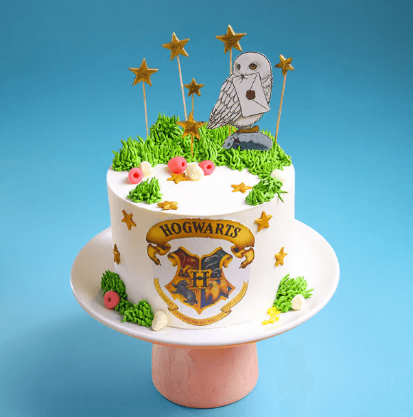 Wizards Of Hogwarts Cake
